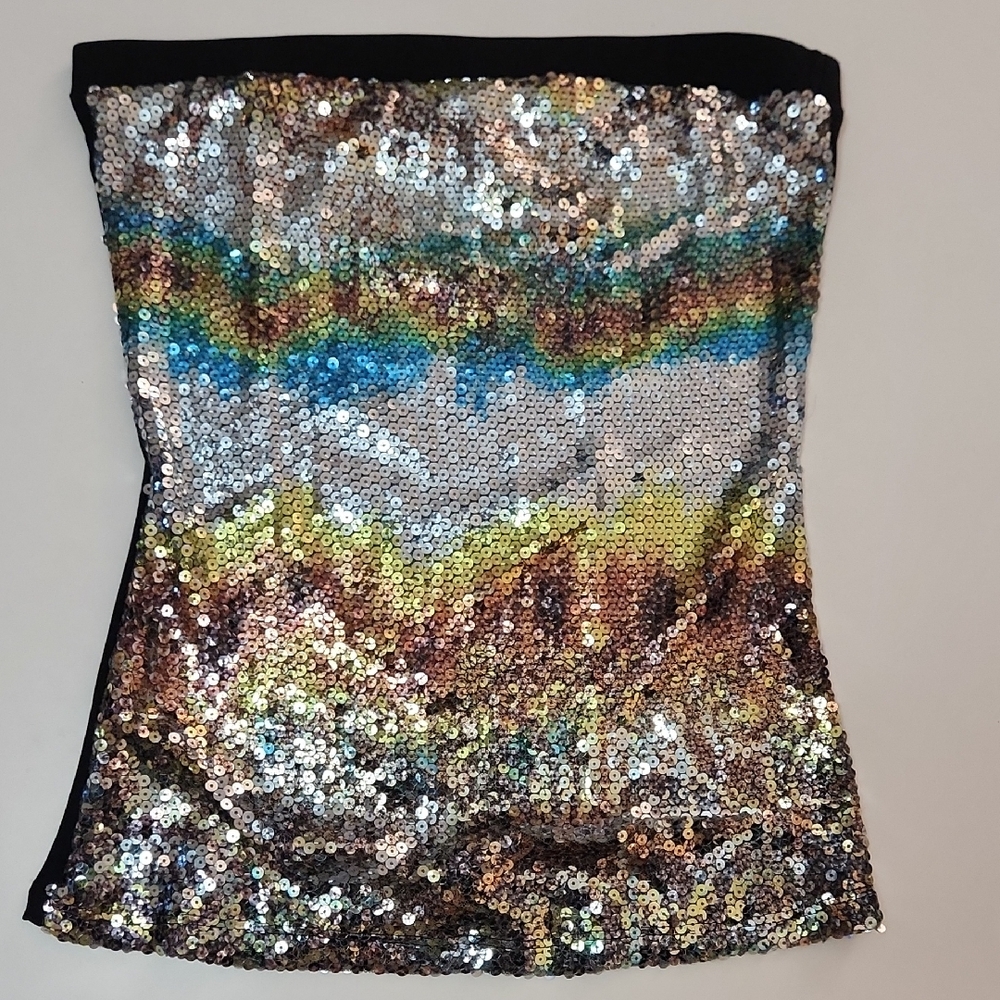 Silver and Gold Sequin Strapless Crop Top
